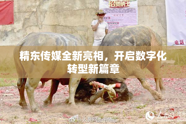 精东传媒全新亮相，开启数字化转型新篇章