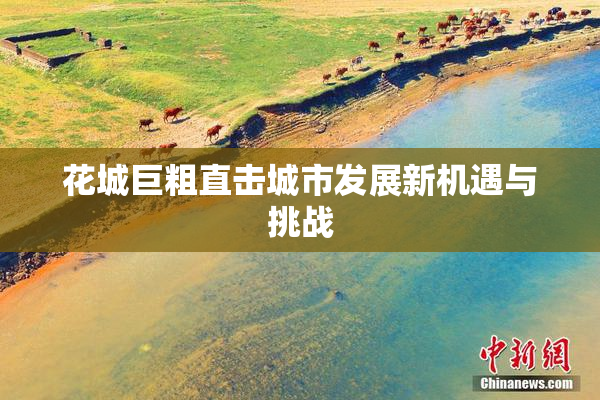 花城巨粗直击城市发展新机遇与挑战
