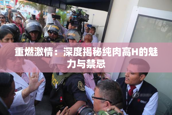 重燃激情：深度揭秘纯肉高H的魅力与禁忌