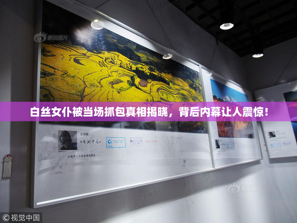 白丝女仆被当场抓包真相揭晓，背后内幕让人震惊！