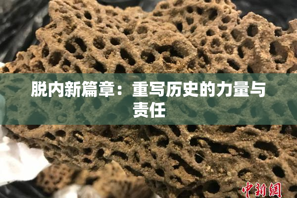 脱内新篇章：重写历史的力量与责任