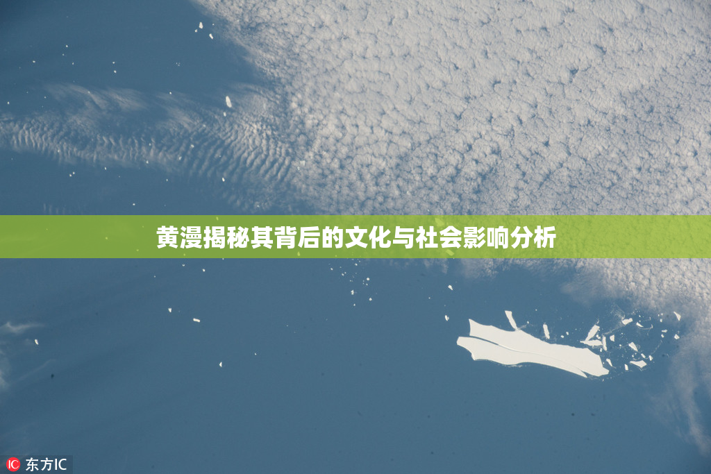 黄漫揭秘其背后的文化与社会影响分析