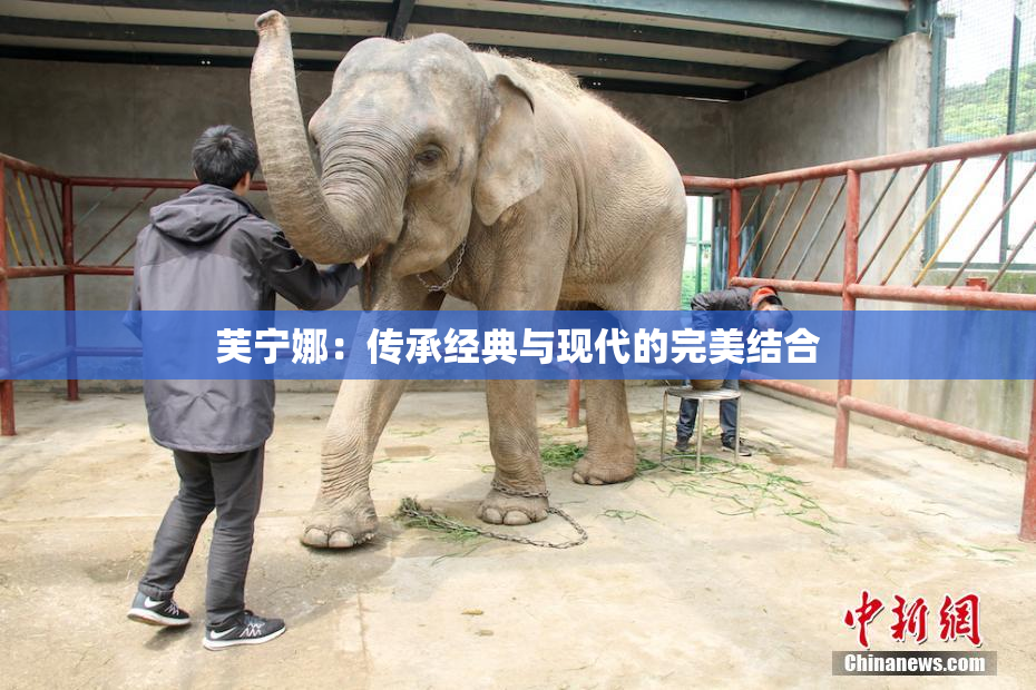 芙宁娜：传承经典与现代的完美结合