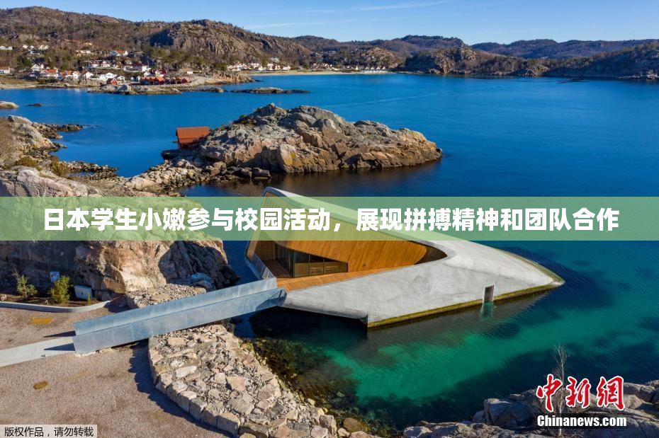 日本学生小嫩参与校园活动，展现拼搏精神和团队合作