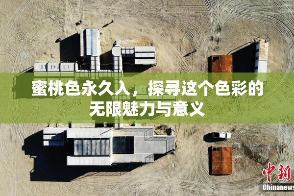 蜜桃色永久入，探寻这个色彩的无限魅力与意义