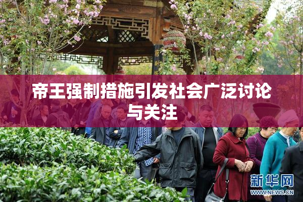帝王强制措施引发社会广泛讨论与关注