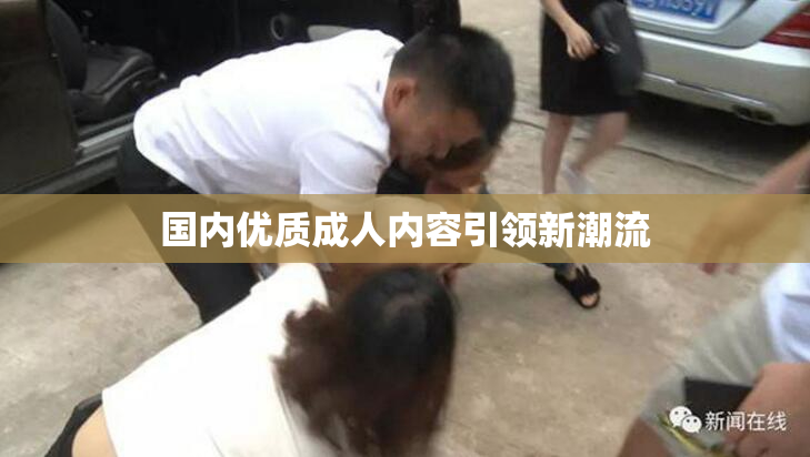 国内优质成人内容引领新潮流