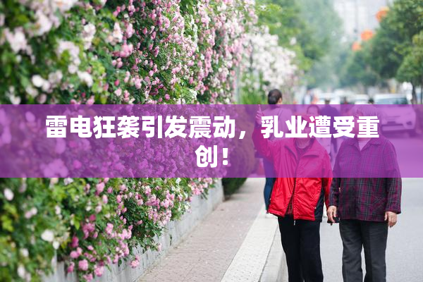 雷电狂袭引发震动，乳业遭受重创！
