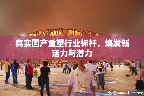 真实国产重塑行业标杆，焕发新活力与潜力