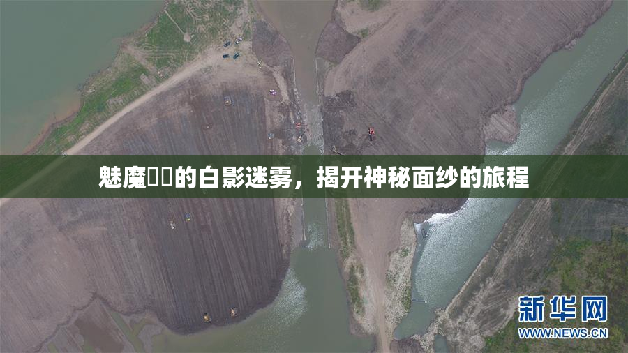 魅魔妺妺的白影迷雾，揭开神秘面纱的旅程