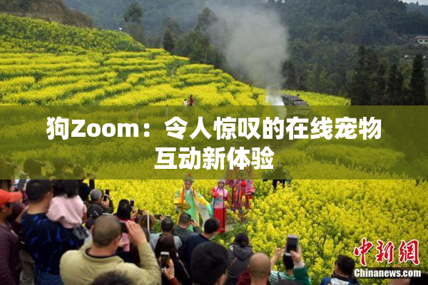 狗Zoom：令人惊叹的在线宠物互动新体验