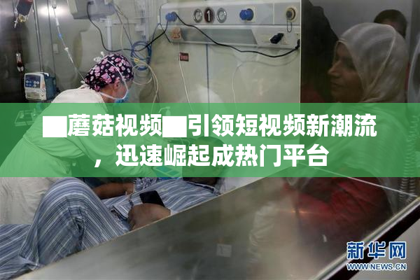▇蘑菇视频▇引领短视频新潮流，迅速崛起成热门平台