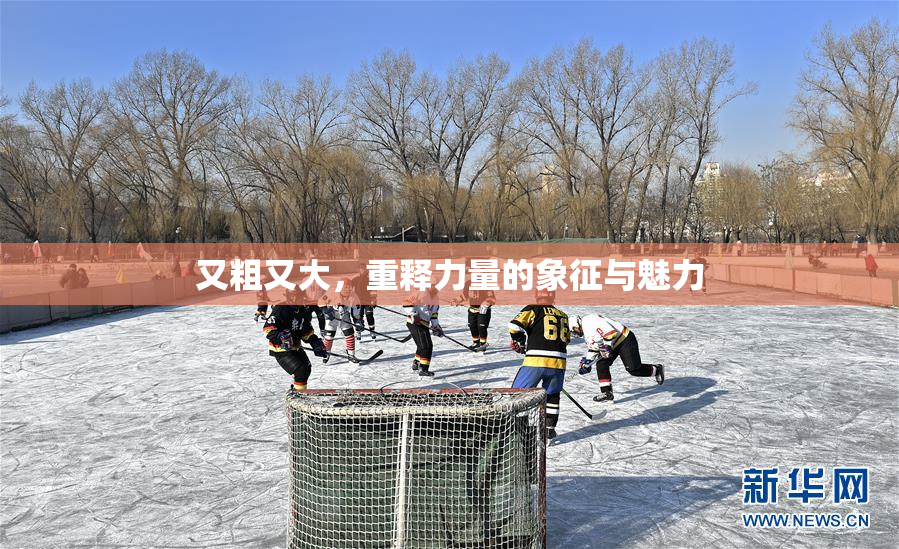 又粗又大，重释力量的象征与魅力