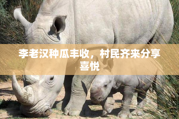 李老汉种瓜丰收，村民齐来分享喜悦