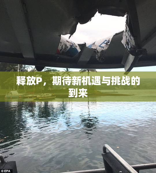 释放P，期待新机遇与挑战的到来