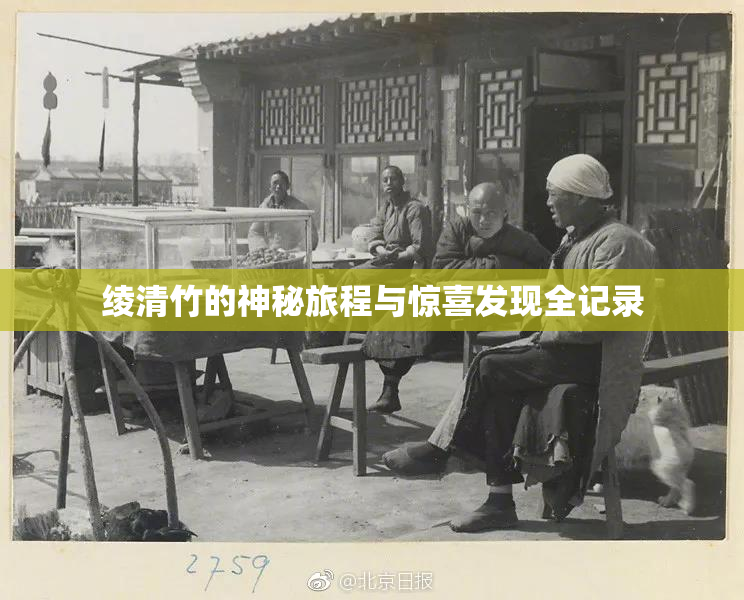 绫清竹的神秘旅程与惊喜发现全记录