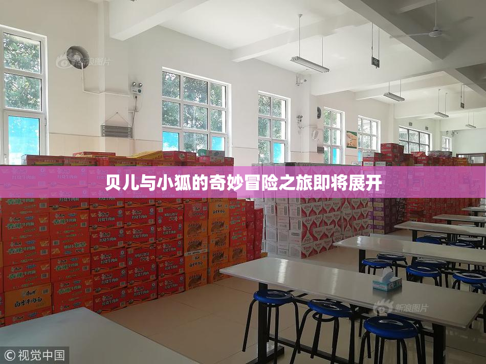 贝儿与小狐的奇妙冒险之旅即将展开
