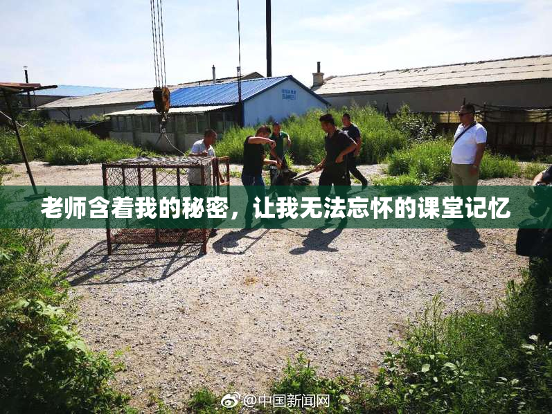 老师含着我的秘密，让我无法忘怀的课堂记忆