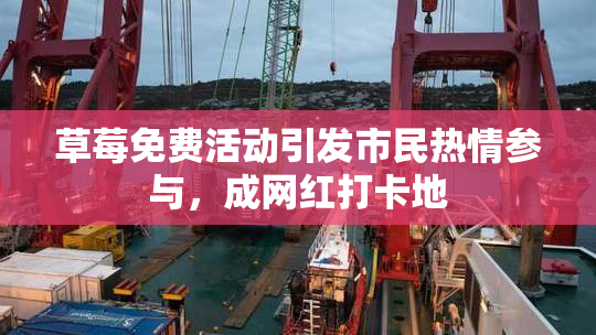 草莓免费活动引发市民热情参与，成网红打卡地