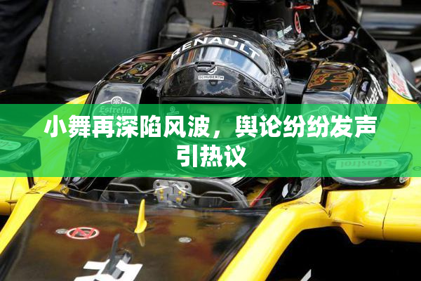 小舞再深陷风波，舆论纷纷发声引热议