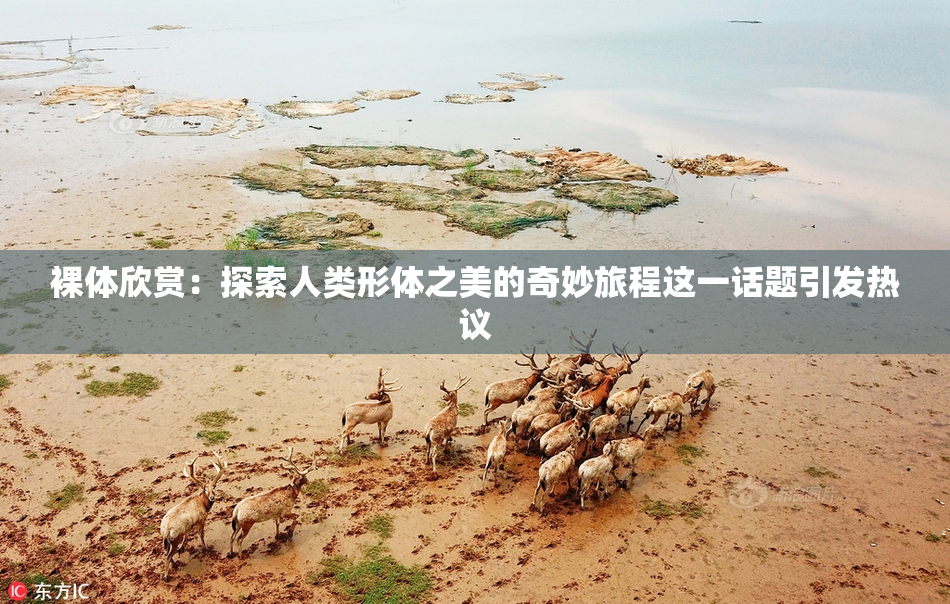 裸体欣赏：探索人类形体之美的奇妙旅程这一话题引发热议