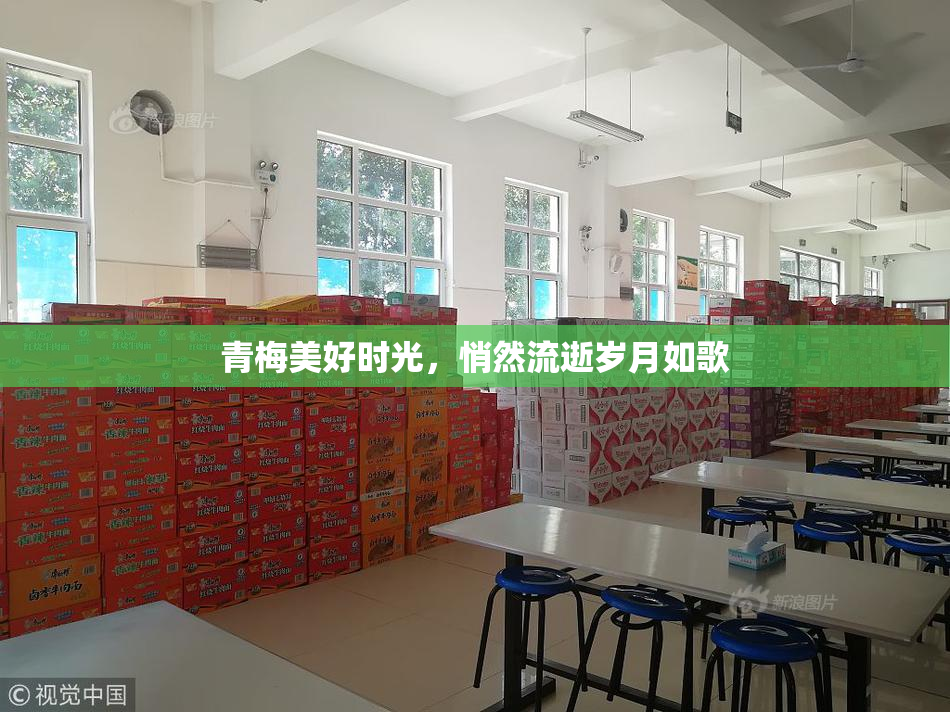 青梅美好时光，悄然流逝岁月如歌