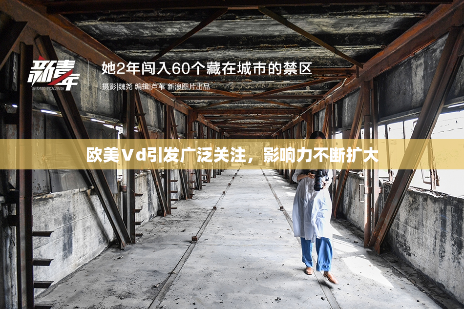 欧美Ⅴd引发广泛关注，影响力不断扩大