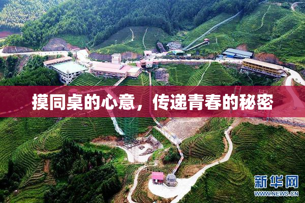 摸同桌的心意，传递青春的秘密