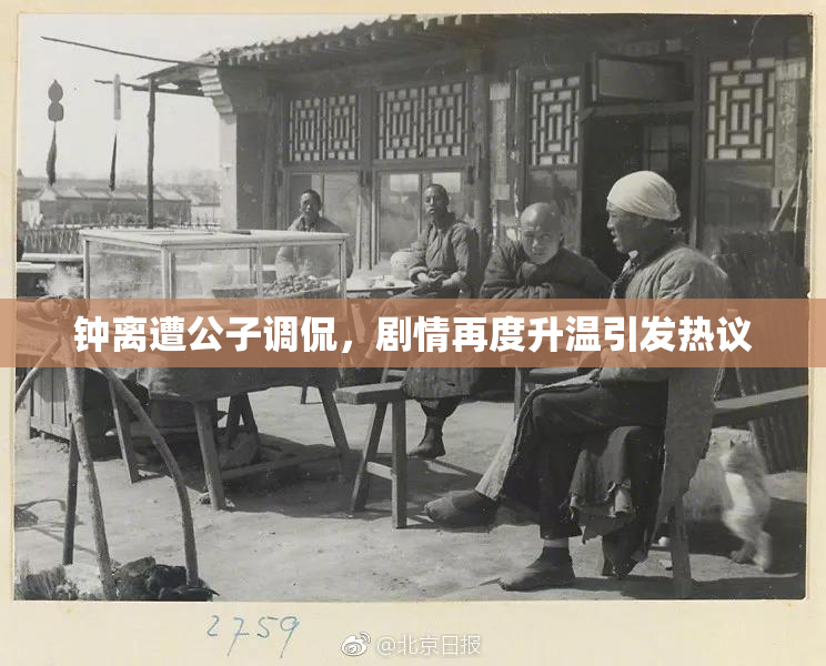 钟离遭公子调侃，剧情再度升温引发热议