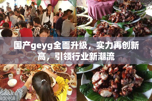 国产geyg全面升级，实力再创新高，引领行业新潮流