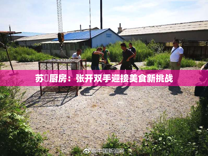 苏玥厨房：张开双手迎接美食新挑战