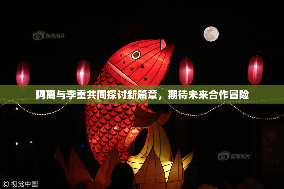 阿离与李重共同探讨新篇章，期待未来合作冒险