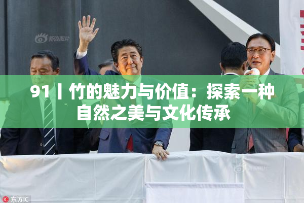 91丨竹的魅力与价值：探索一种自然之美与文化传承