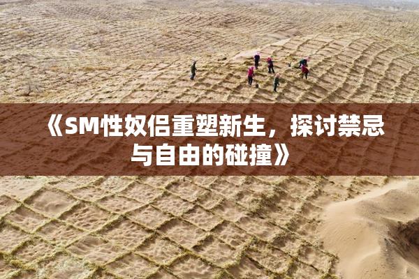《SM性奴侣重塑新生，探讨禁忌与自由的碰撞》