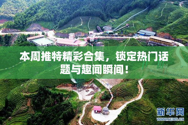 本周推特精彩合集，锁定热门话题与趣闻瞬间！