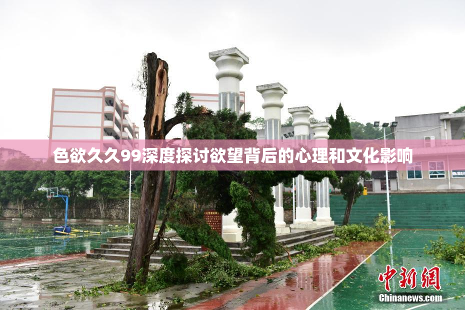 色欲久久99深度探讨欲望背后的心理和文化影响