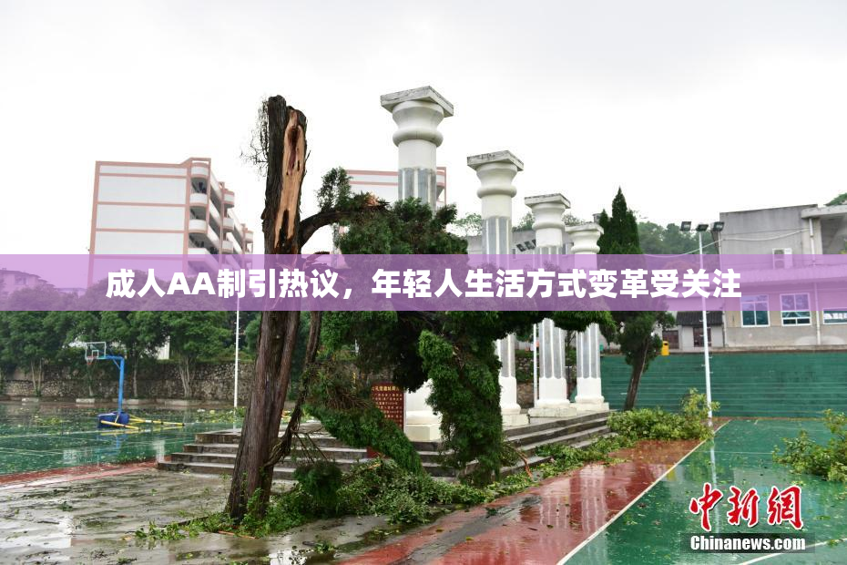 成人AA制引热议，年轻人生活方式变革受关注