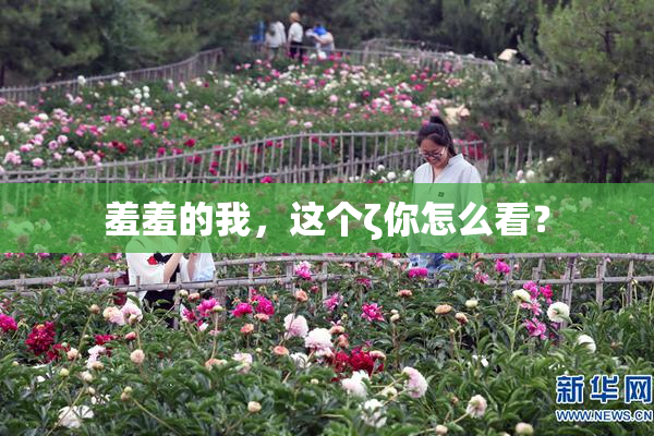 羞羞的我，这个ζ你怎么看？
