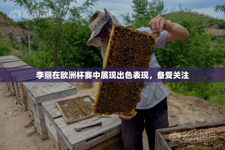 李丽在欧洲杯赛中展现出色表现，备受关注