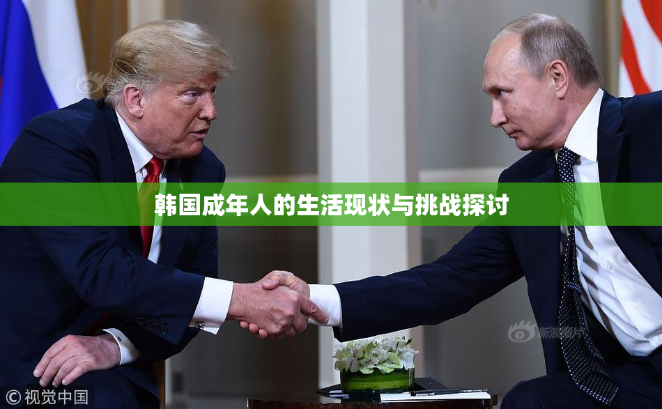 韩国成年人的生活现状与挑战探讨