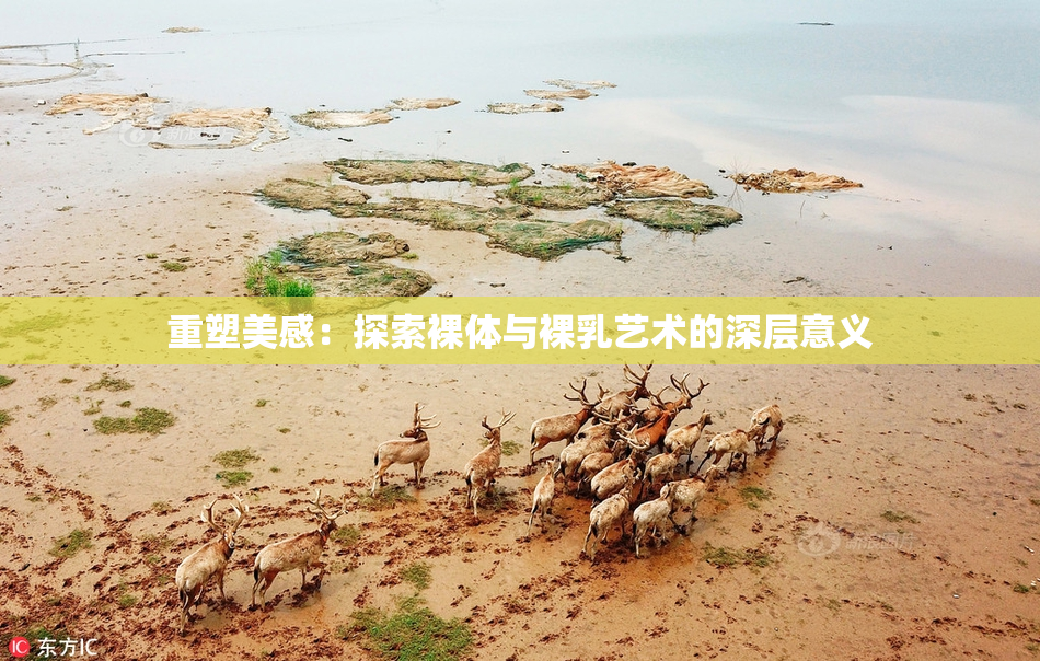 重塑美感：探索裸体与裸乳艺术的深层意义