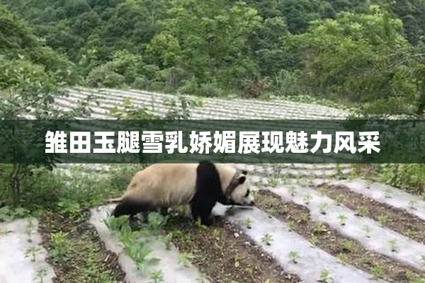 雏田玉腿雪乳娇媚展现魅力风采