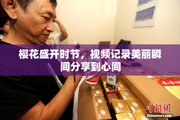 樱花盛开时节，视频记录美丽瞬间分享到心间
