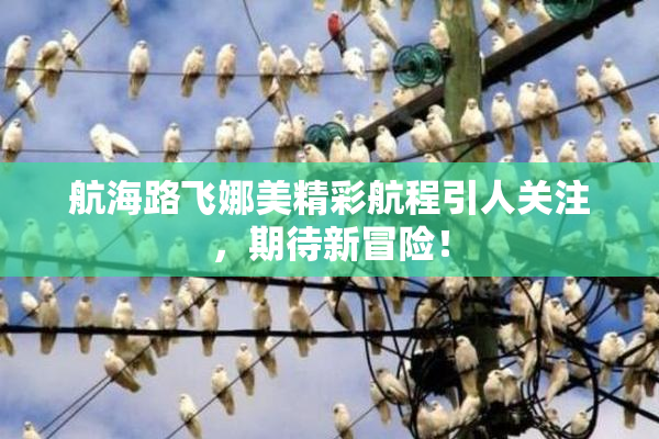 航海路飞娜美精彩航程引人关注，期待新冒险！
