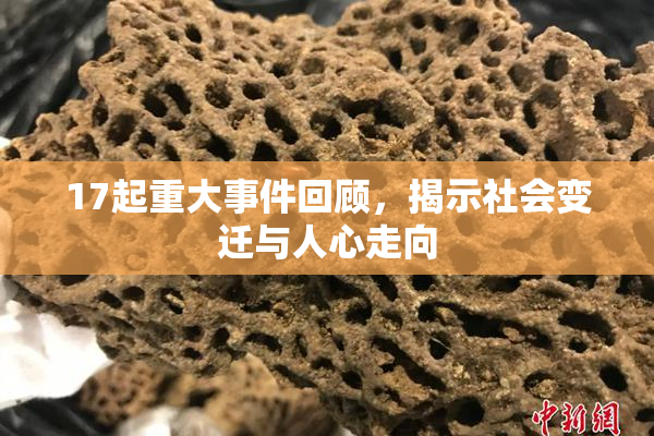 17起重大事件回顾，揭示社会变迁与人心走向