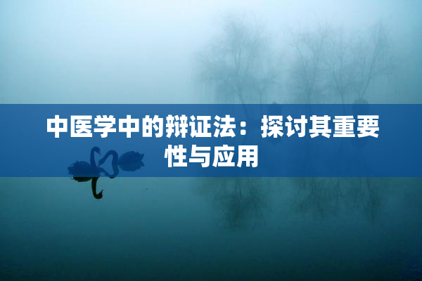 中医学中的辩证法：探讨其重要性与应用