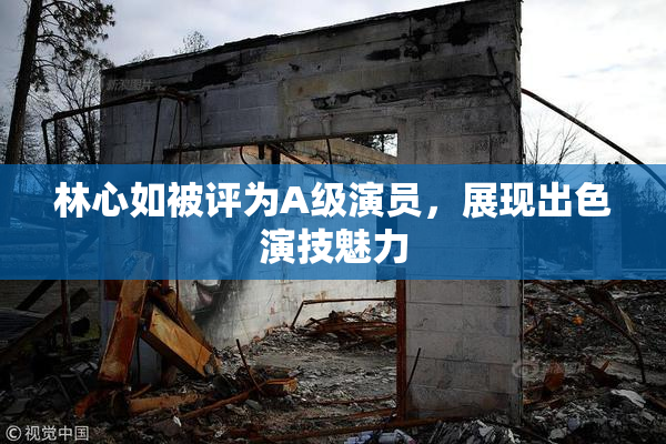 林心如被评为A级演员，展现出色演技魅力