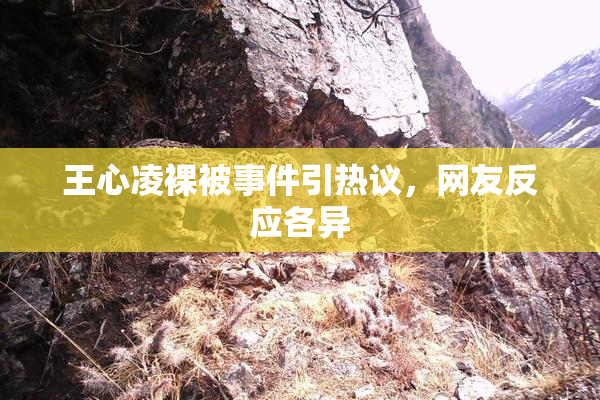 王心凌裸被事件引热议，网友反应各异