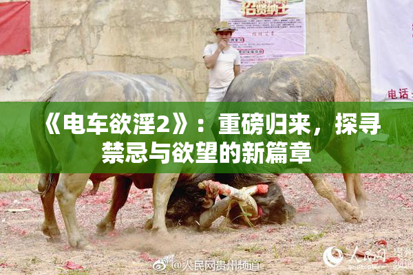 《电车欲淫2》：重磅归来，探寻禁忌与欲望的新篇章