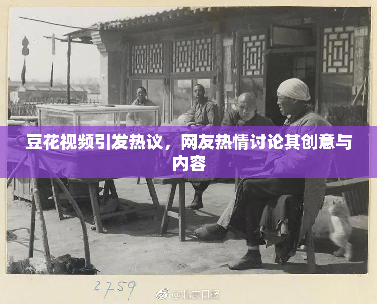 豆花视频引发热议，网友热情讨论其创意与内容